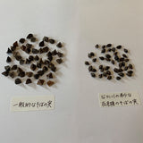 ３種のそば ＋ 蝦夷バフンうに ＋ 秘宝いくらそば